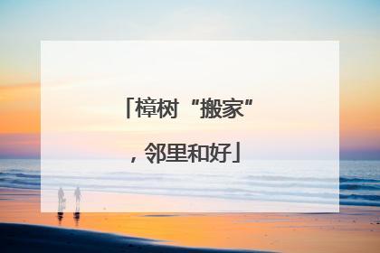 樟树“搬家”，邻里和好