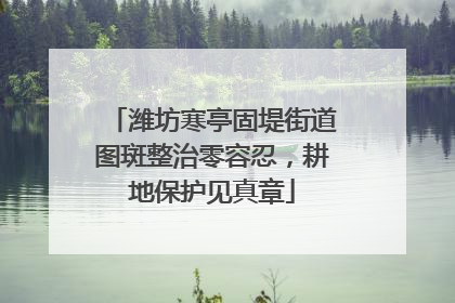 潍坊寒亭固堤街道图斑整治零容忍，耕地保护见真章
