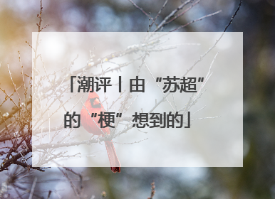 潮评丨由“苏超”的“梗”想到的