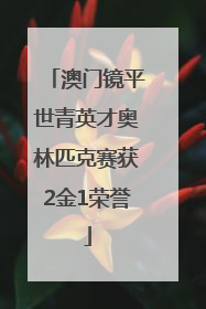 澳门镜平世青英才奥林匹克赛获2金1荣誉