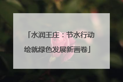 水润王庄：节水行动绘就绿色发展新画卷