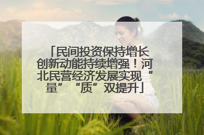 民间投资保持增长 创新动能持续增强！河北民营经济发展实现“量”“质”双提升