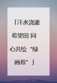 汗水浇灌希望田 同心共绘“绿画卷”