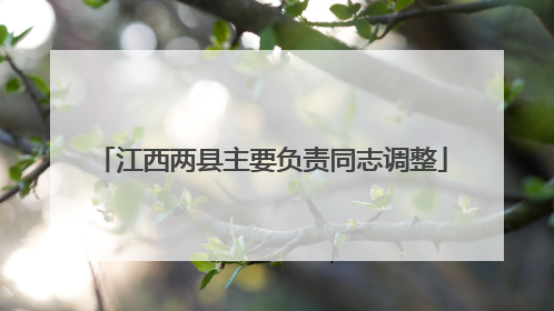 江西两县主要负责同志调整