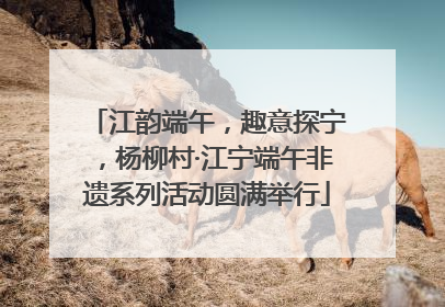 江韵端午，趣意探宁，杨柳村·江宁端午非遗系列活动圆满举行
