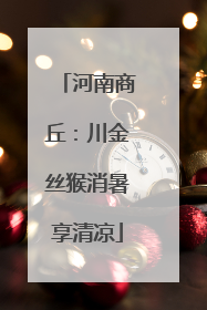 河南商丘：川金丝猴消暑享清凉