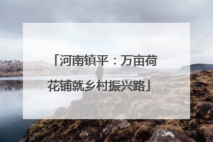 河南镇平：万亩荷花铺就乡村振兴路