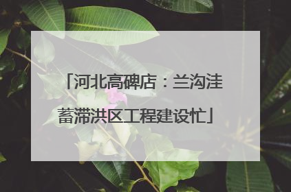 河北高碑店：兰沟洼蓄滞洪区工程建设忙
