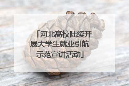 河北高校陆续开展大学生就业引航示范宣讲活动