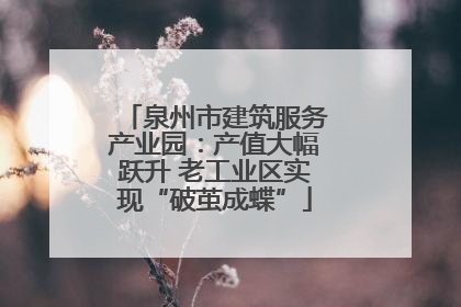 泉州市建筑服务产业园：产值大幅跃升 老工业区实现“破茧成蝶”