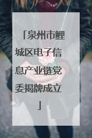 泉州市鲤城区电子信息产业链党委揭牌成立