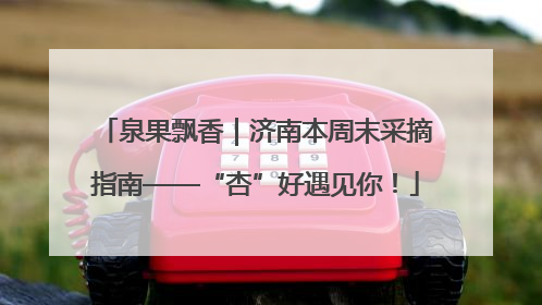 泉果飘香｜济南本周末采摘指南——“杏”好遇见你！