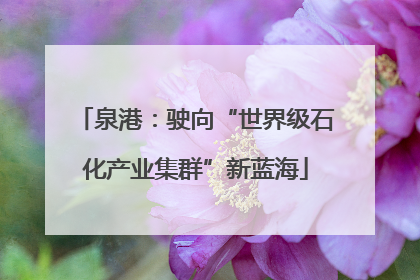 泉港：驶向“世界级石化产业集群”新蓝海