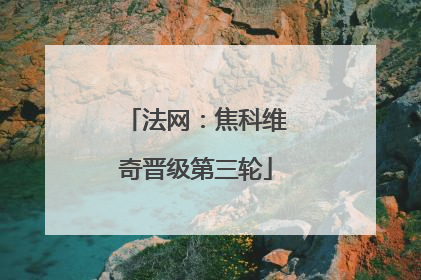 法网：焦科维奇晋级第三轮