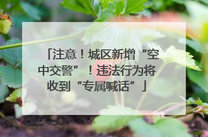 注意！城区新增“空中交警”！违法行为将收到“专属喊话”