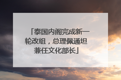 泰国内阁完成新一轮改组，总理佩通坦兼任文化部长