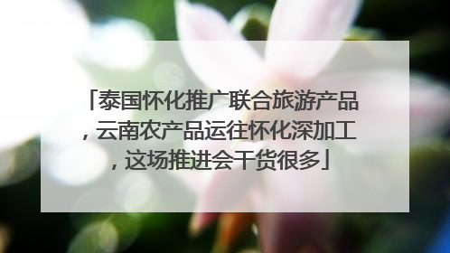 泰国怀化推广联合旅游产品，云南农产品运往怀化深加工，这场推进会干货很多