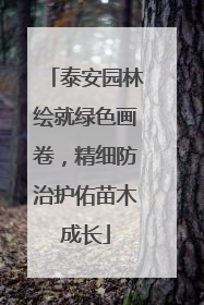 泰安园林绘就绿色画卷，精细防治护佑苗木成长