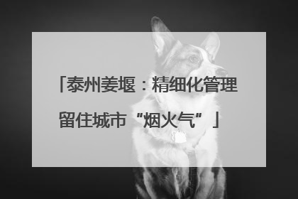 泰州姜堰：精细化管理留住城市“烟火气”