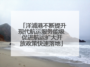 洋浦港不断提升现代航运服务能级 促进航运扩大开放政策快速落地