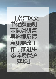 洛江区委书记颜丽明带队调研督导巡视反馈意见整改工作，推进生态环境保护建设