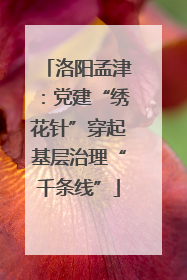 洛阳孟津：党建“绣花针”穿起基层治理“千条线”