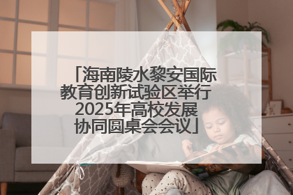 海南陵水黎安国际教育创新试验区举行2025年高校发展协同圆桌会会议