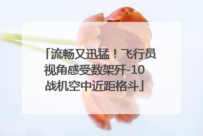 流畅又迅猛！飞行员视角感受数架歼-10战机空中近距格斗