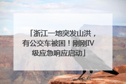 浙江一地突发山洪，有公交车被困！刚刚Ⅳ级应急响应启动