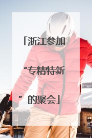 浙江参加“专精特新”的聚会