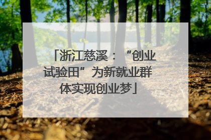 浙江慈溪：“创业试验田”为新就业群体实现创业梦