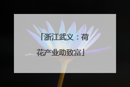 浙江武义：荷花产业助致富