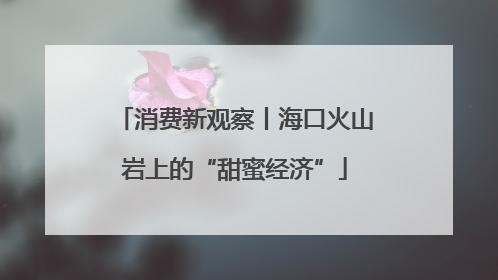 消费新观察丨海口火山岩上的“甜蜜经济”