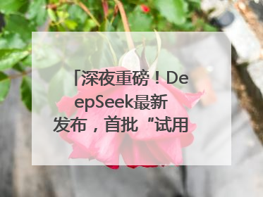 深夜重磅！DeepSeek最新发布，首批“试用体验”出炉→