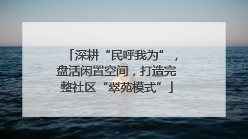 深耕“民呼我为”，盘活闲置空间，打造完整社区“翠苑模式”