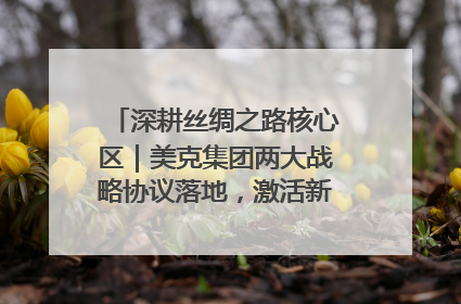 深耕丝绸之路核心区｜美克集团两大战略协议落地，激活新疆开放新动能