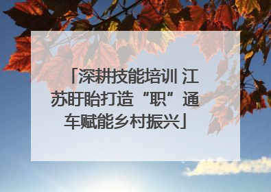 深耕技能培训 江苏盱眙打造“职”通车赋能乡村振兴