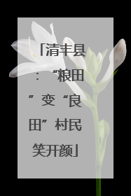 清丰县：“粮田”变“良田”村民笑开颜