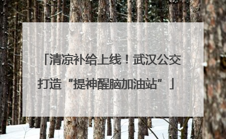 清凉补给上线！武汉公交打造“提神醒脑加油站”