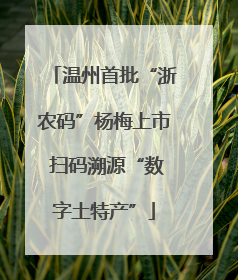 温州首批“浙农码”杨梅上市 扫码溯源“数字土特产”