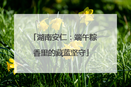 湖南安仁：端午粽香里的藏蓝坚守