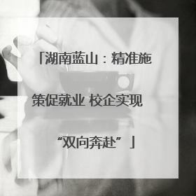 湖南蓝山：精准施策促就业 校企实现“双向奔赴”