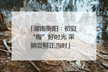 湖南衡阳：初夏“梅”好时光 采摘尝鲜正当时