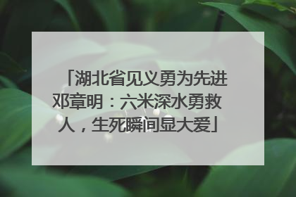 湖北省见义勇为先进邓章明：六米深水勇救人，生死瞬间显大爱