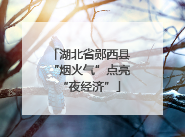 湖北省郧西县“烟火气”点亮“夜经济”