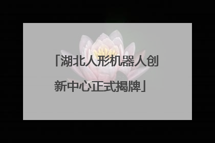 湖北人形机器人创新中心正式揭牌
