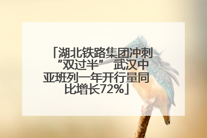 湖北铁路集团冲刺“双过半” 武汉中亚班列一年开行量同比增长72%