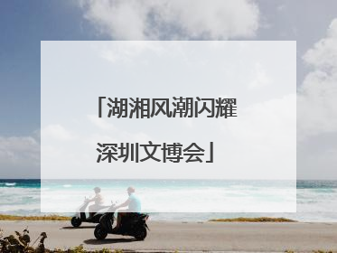 湖湘风潮闪耀深圳文博会