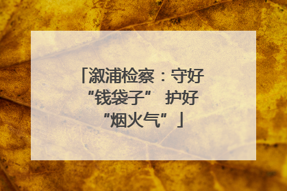 溆浦检察：守好“钱袋子” 护好“烟火气”
