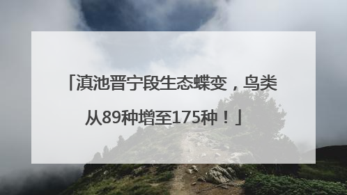 滇池晋宁段生态蝶变，鸟类从89种增至175种！